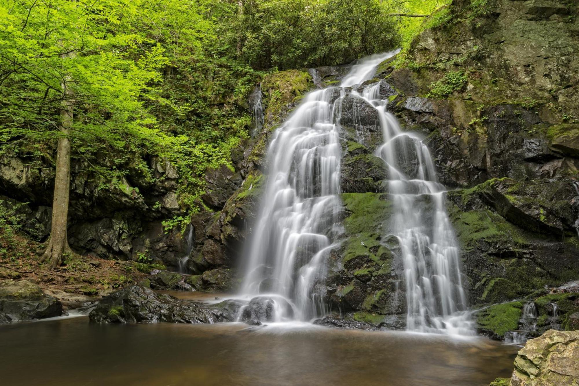 A Higher Calling, 1089 Of Free Area Attraction Tickets For Each Paid Day, Dollywood And More! Pigeon Forge Ngoại thất bức ảnh
